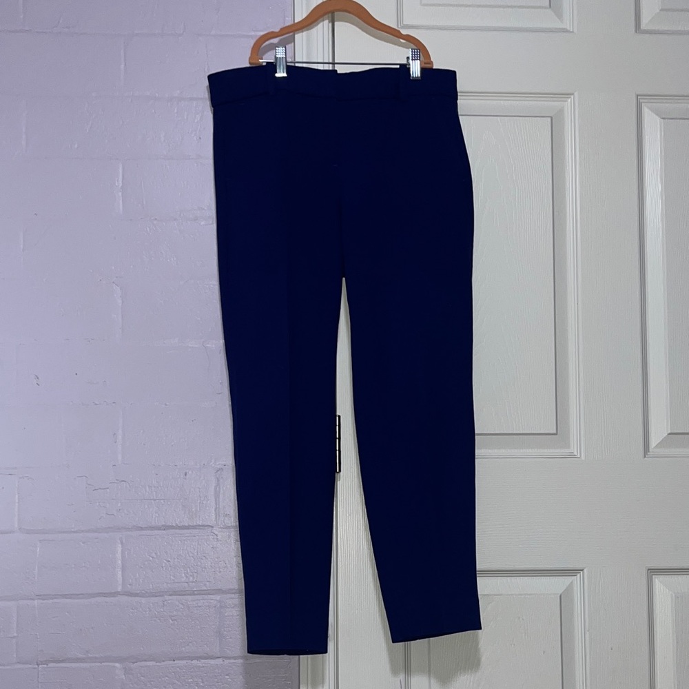 J. Crew Women's Blue Pants